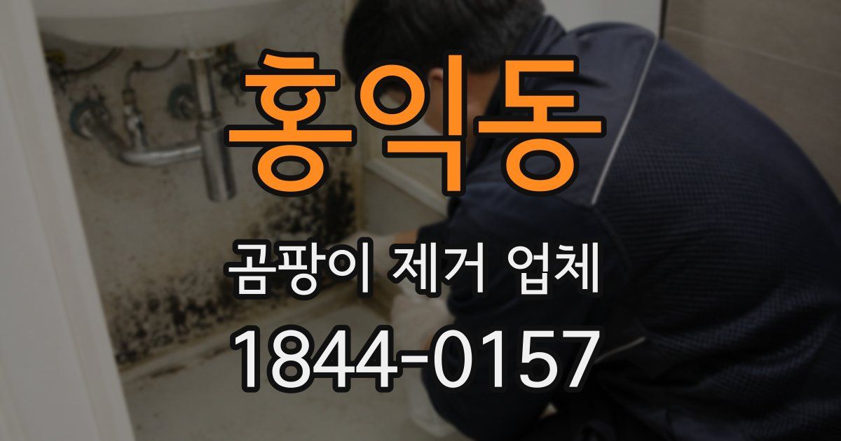 홍익동 곰팡이 제거 업체