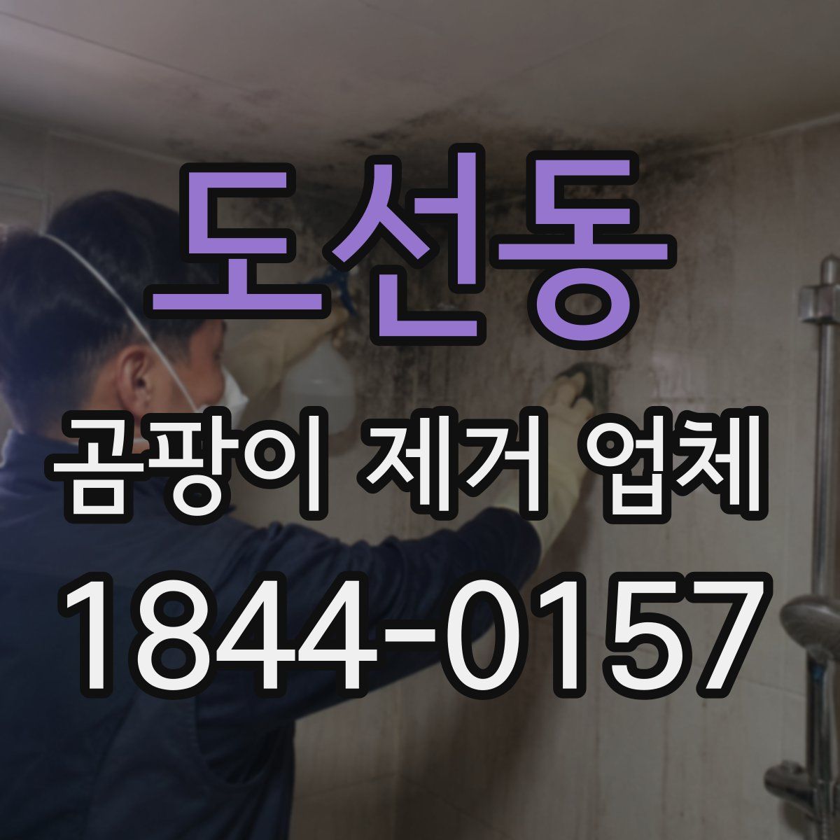 도선동 곰팡이 제거 업체