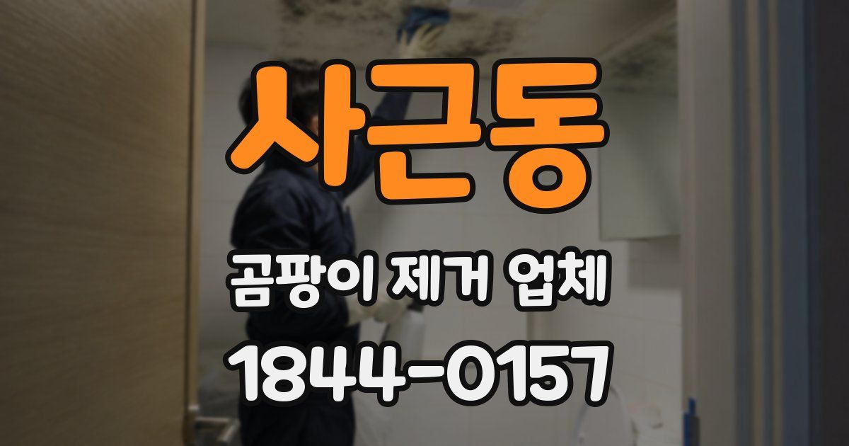 사근동 곰팡이 제거 업체