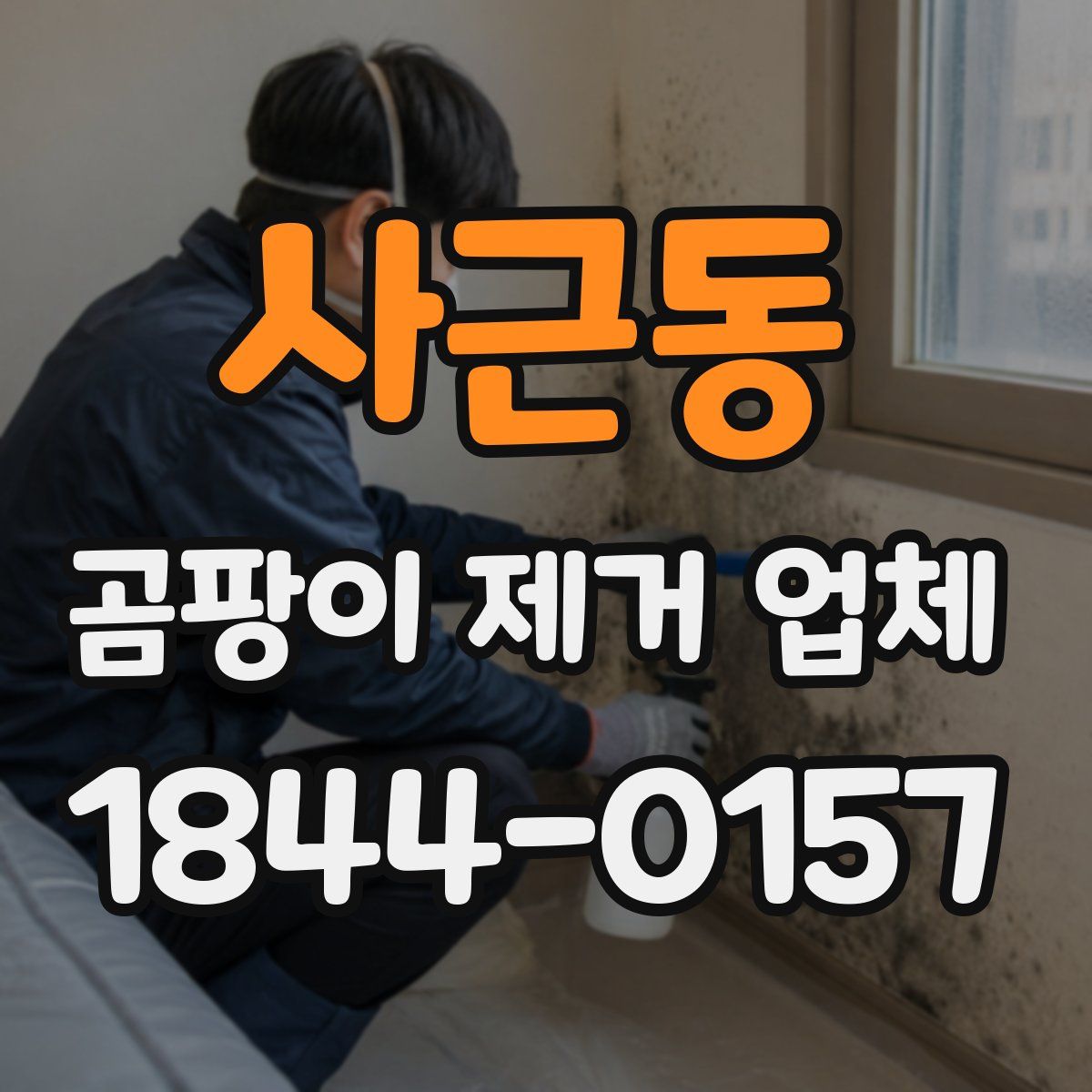 사근동 곰팡이 제거 업체
