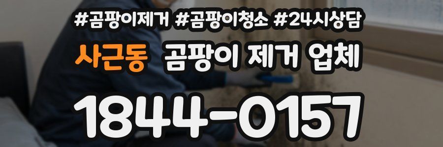 사근동 곰팡이 제거 업체