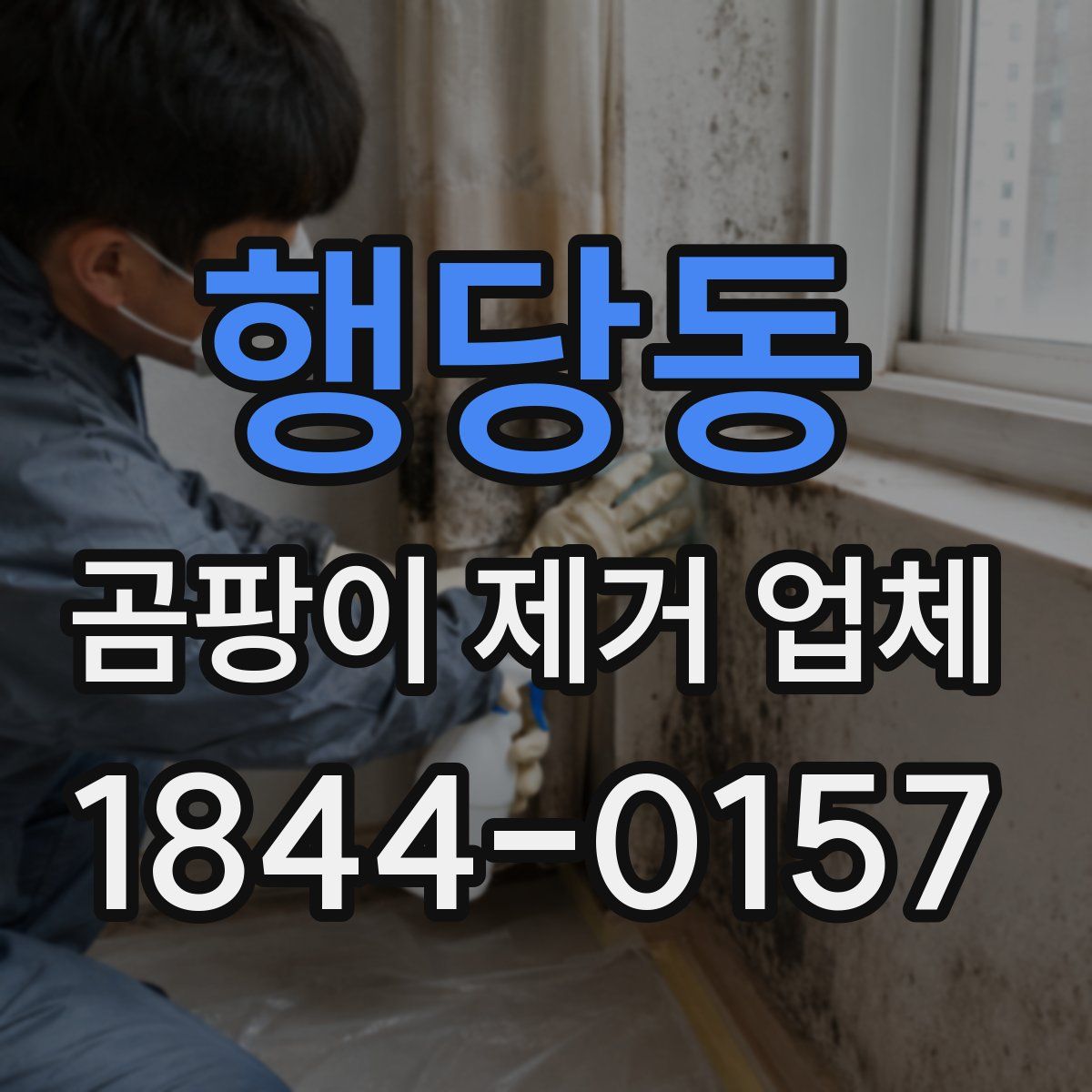 행당동 곰팡이 제거 업체
