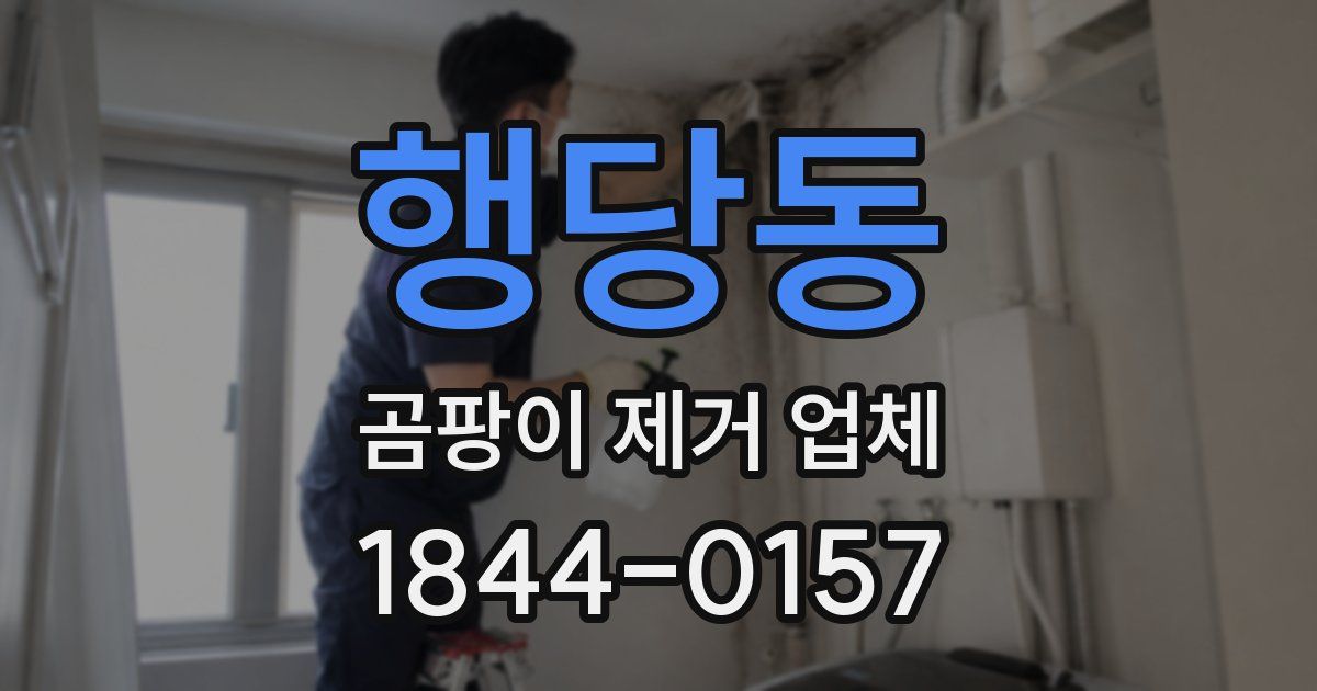 행당동 곰팡이 제거 업체