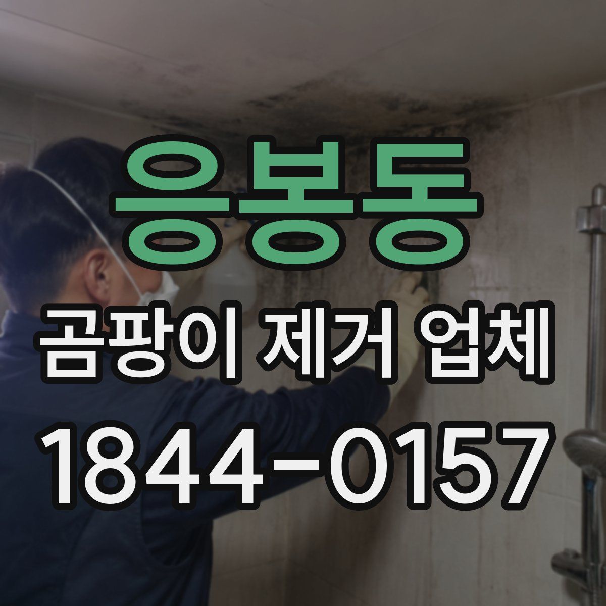 응봉동 곰팡이 제거 업체