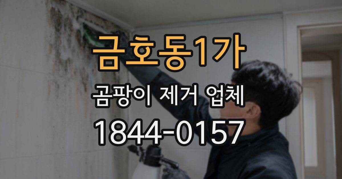 금호동1가 곰팡이 제거 업체
