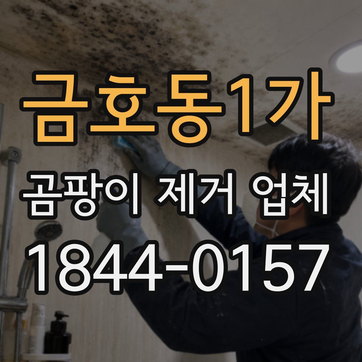 금호동1가 곰팡이 제거 업체