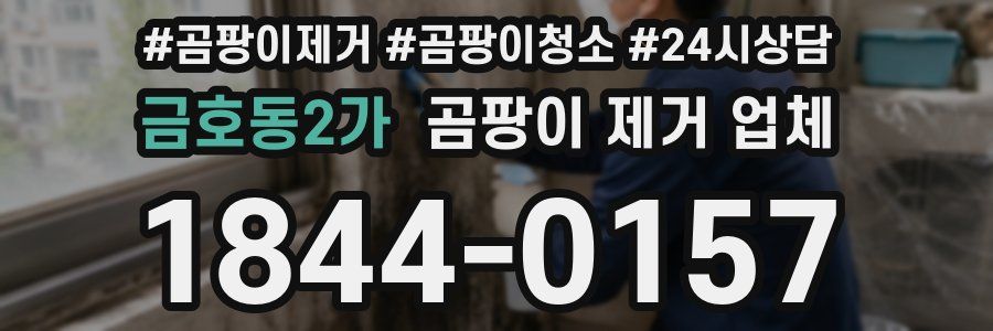 금호동2가 곰팡이 제거 업체