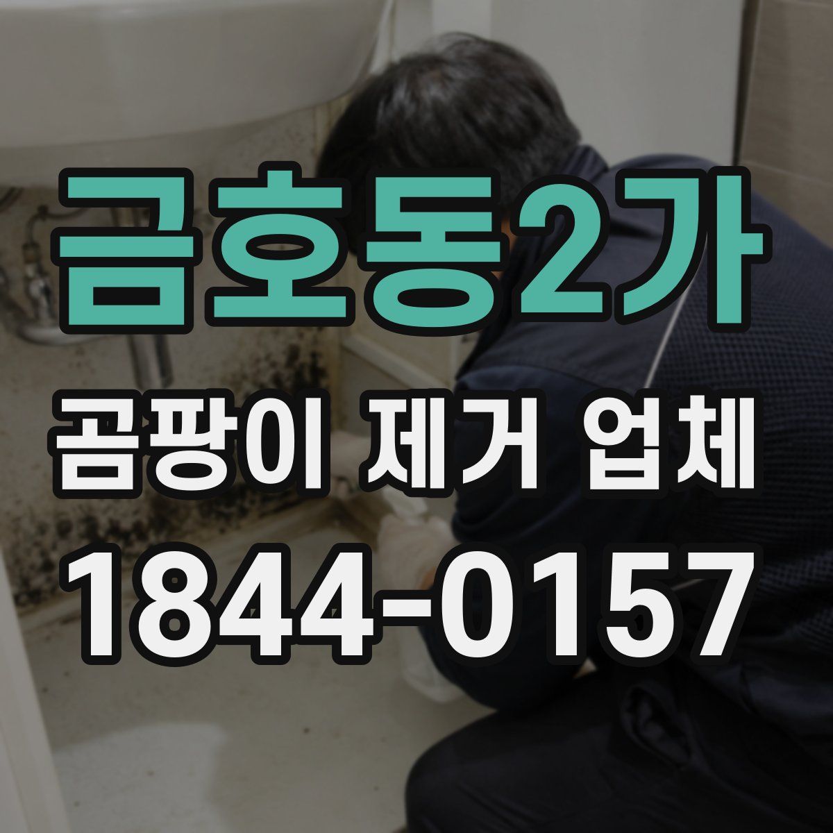 금호동2가 곰팡이 제거 업체