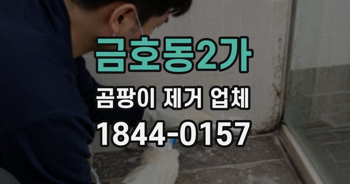 금호동2가 곰팡이 제거 업체