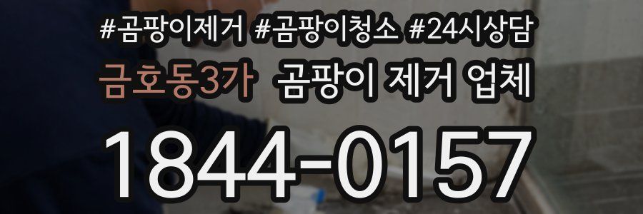 금호동3가 곰팡이 제거 업체