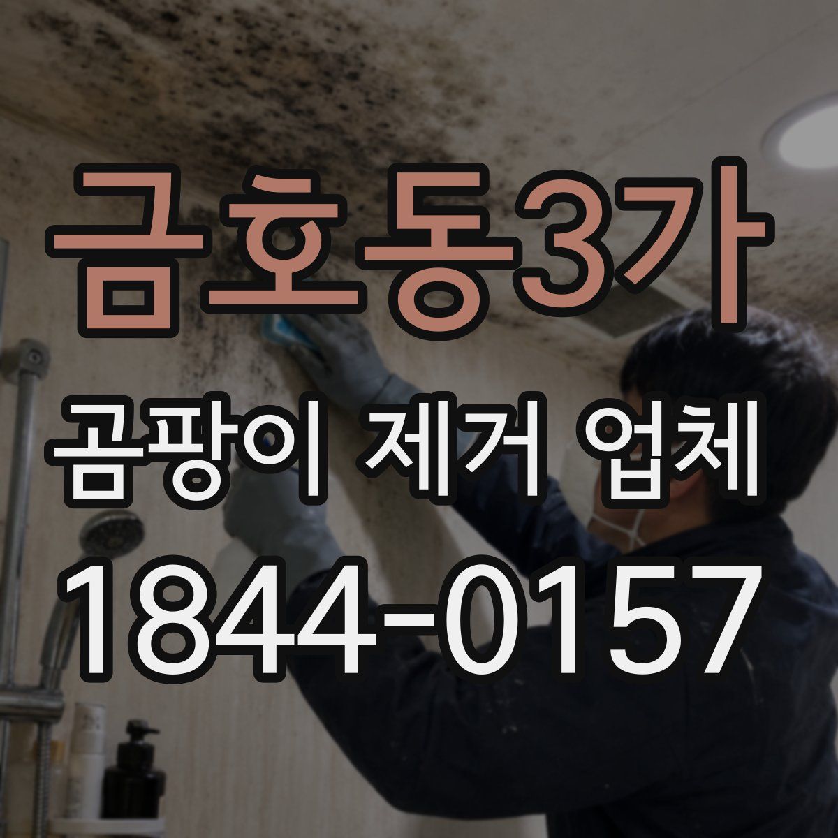 금호동3가 곰팡이 제거 업체