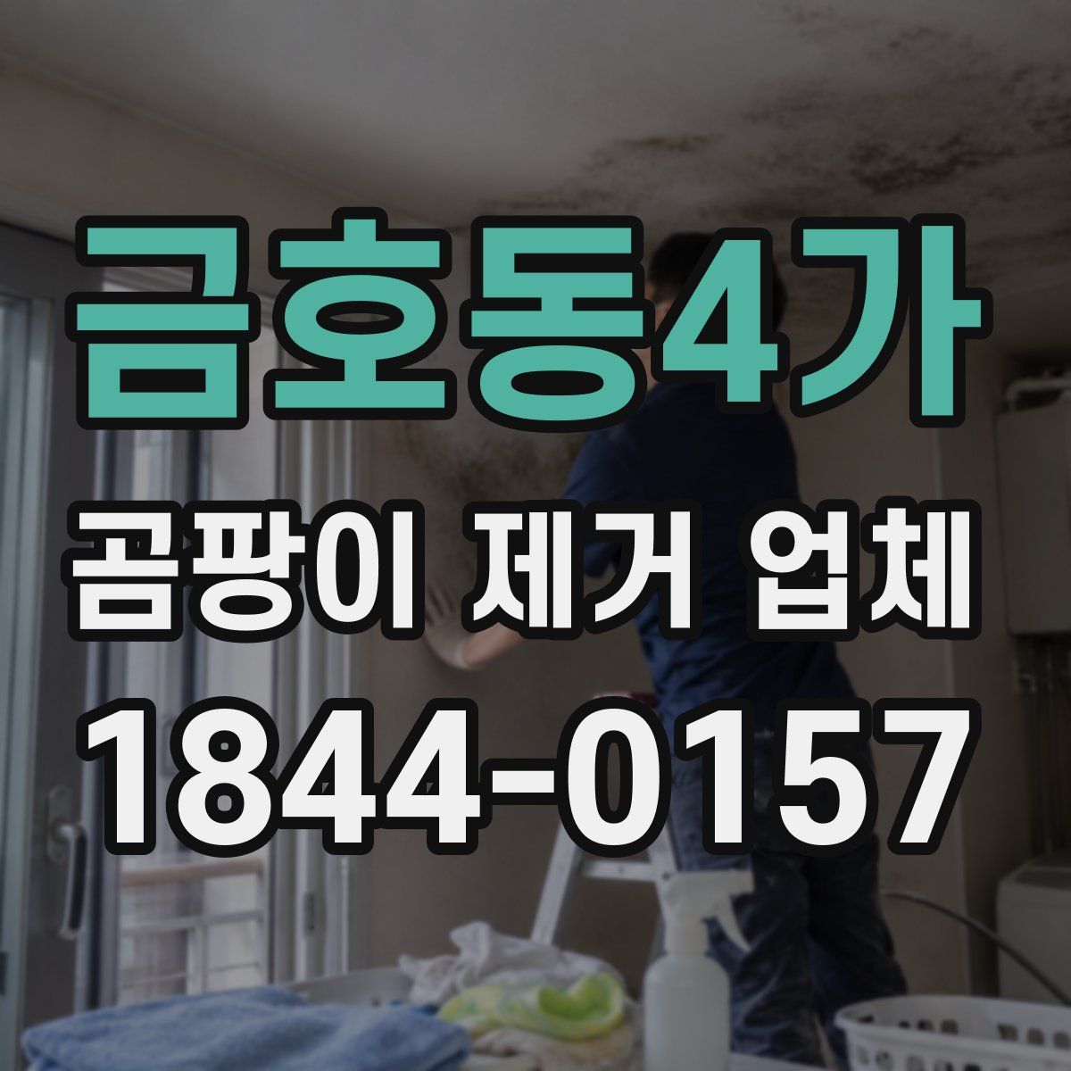 금호동4가 곰팡이 제거 업체