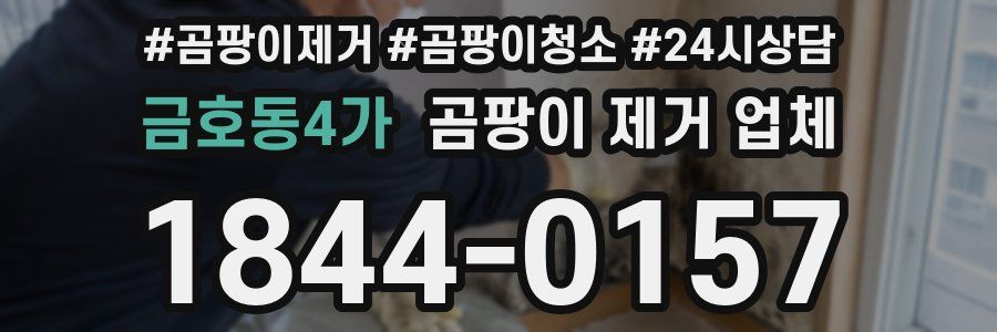 금호동4가 곰팡이 제거 업체