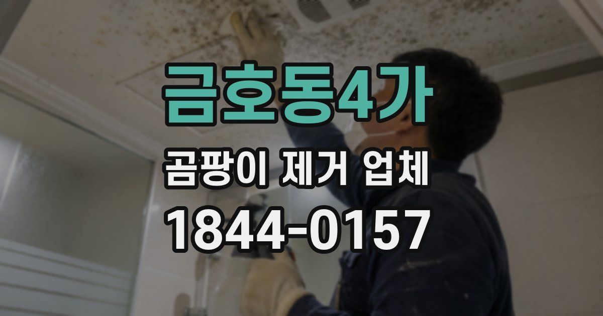 금호동4가 곰팡이 제거 업체