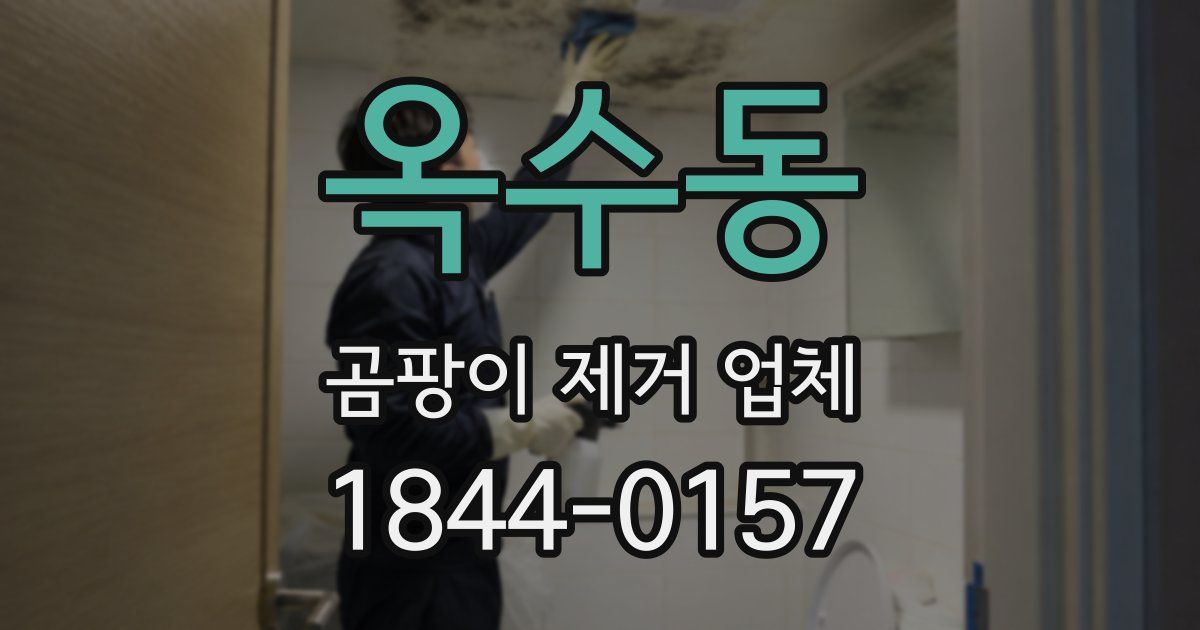 옥수동 곰팡이 제거 업체