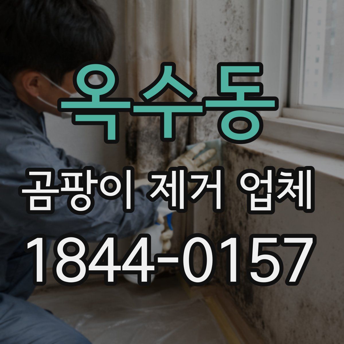 옥수동 곰팡이 제거 업체