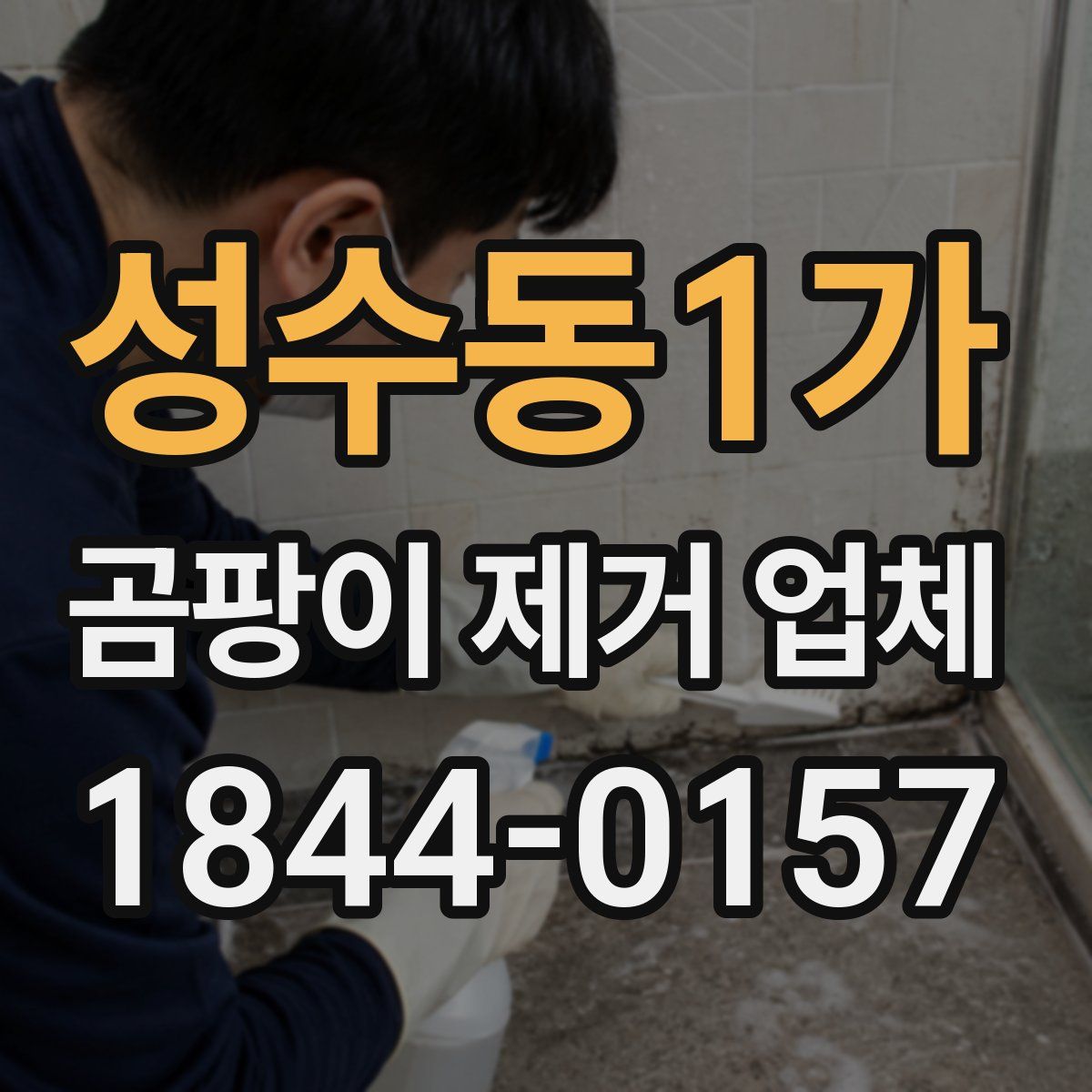 성수동1가 곰팡이 제거 업체