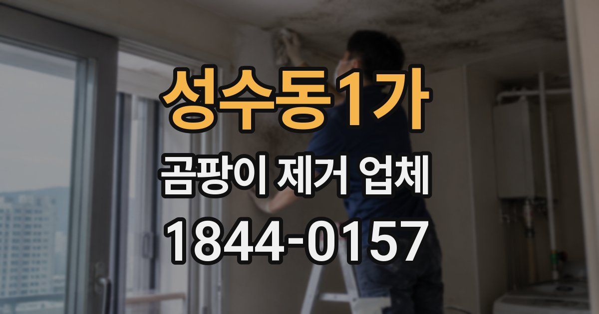 성수동1가 곰팡이 제거 업체