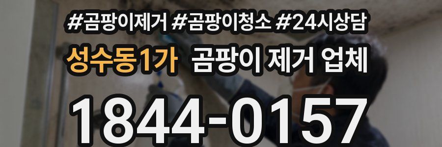 성수동1가 곰팡이 제거 업체