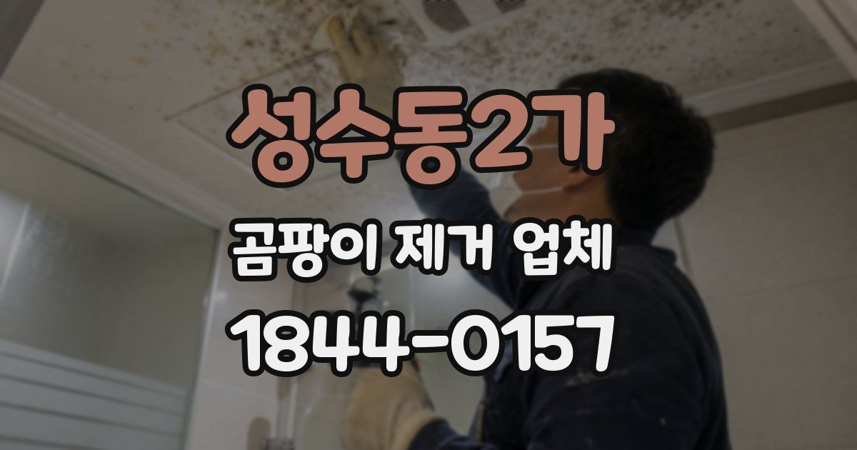 성수동2가 곰팡이 제거 업체