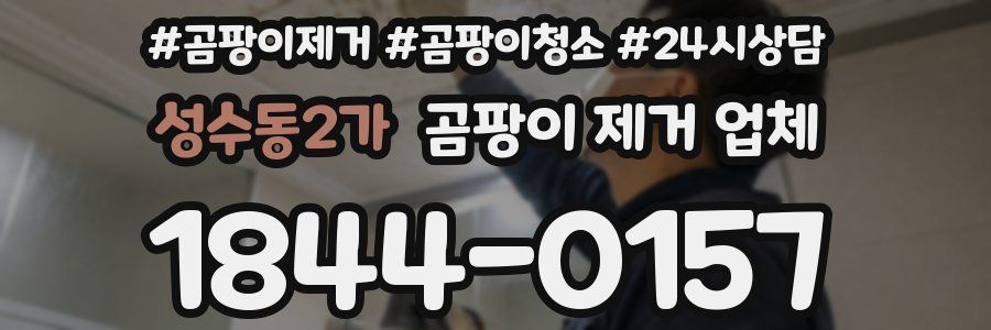 성수동2가 곰팡이 제거 업체