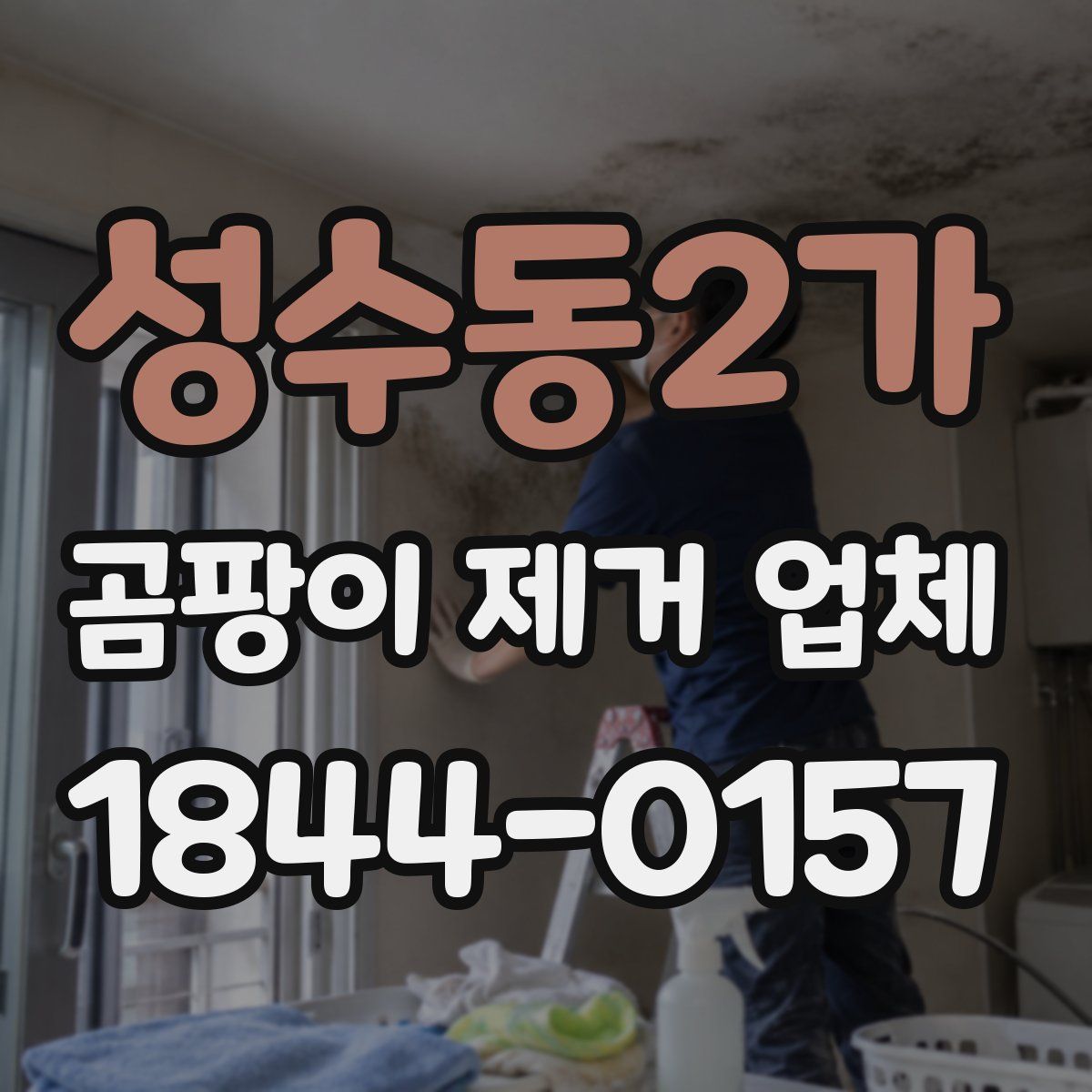 성수동2가 곰팡이 제거 업체