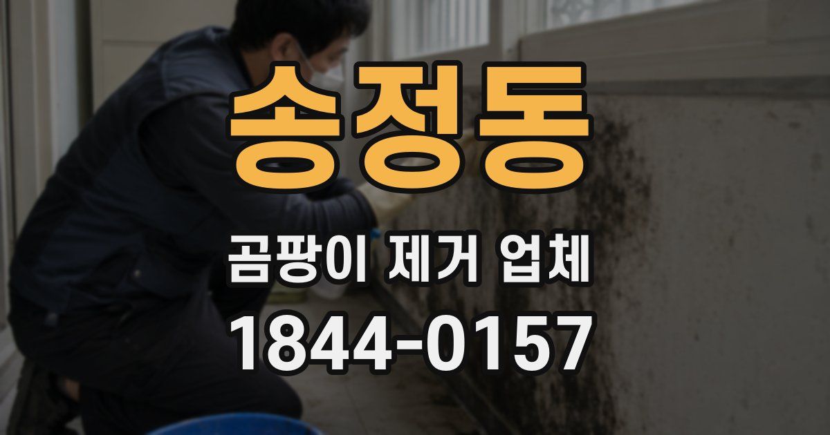 송정동 곰팡이 제거 업체