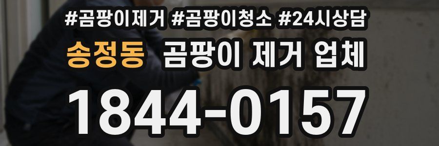 송정동 곰팡이 제거 업체