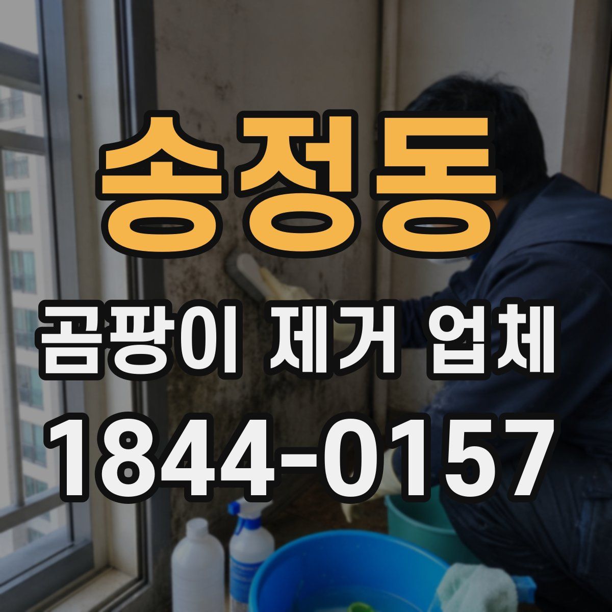 송정동 곰팡이 제거 업체