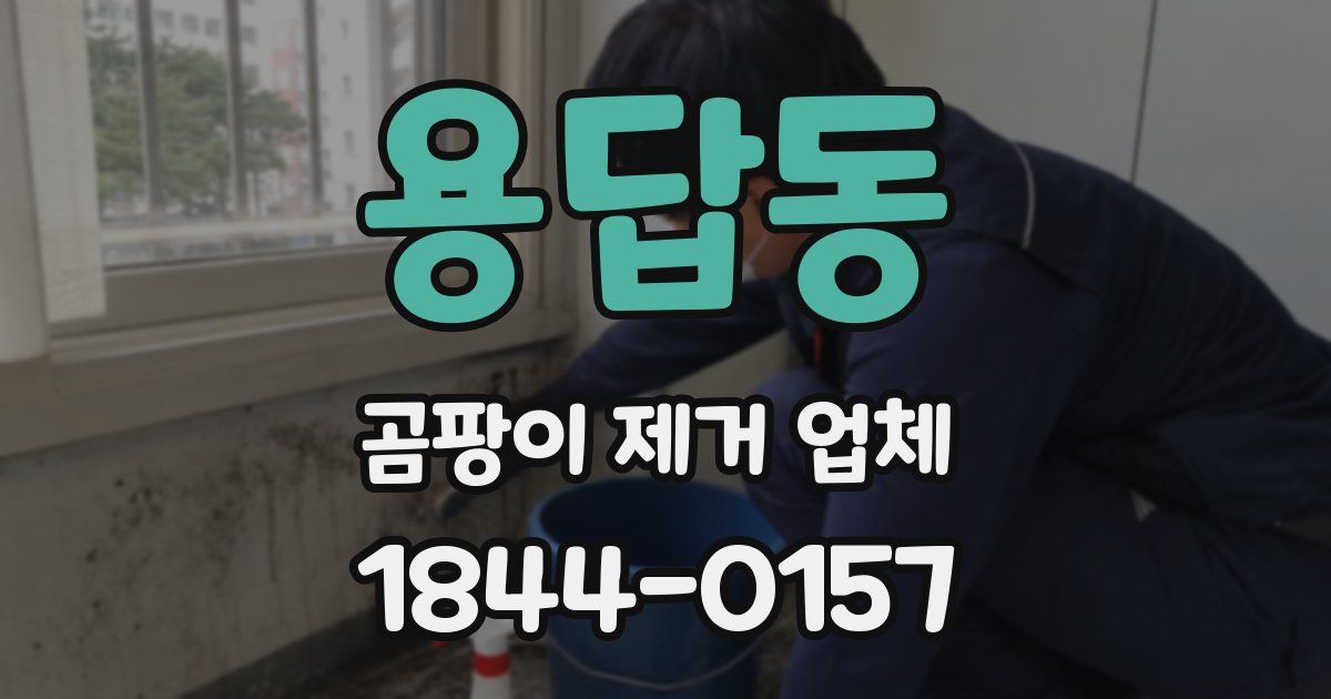 용답동 곰팡이 제거 업체