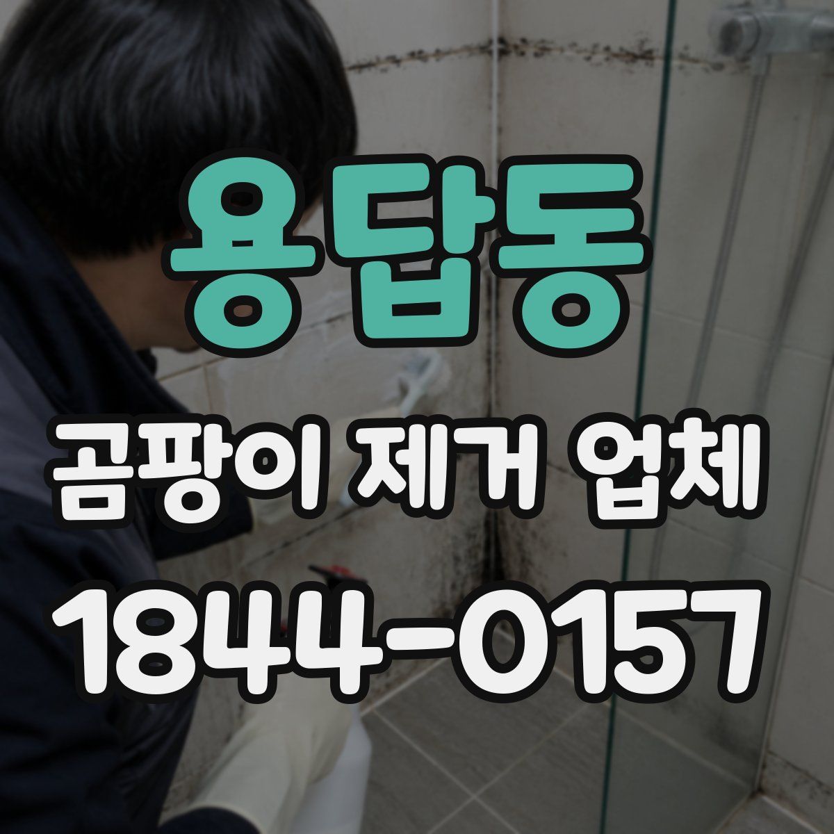 용답동 곰팡이 제거 업체