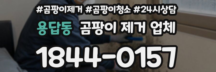 용답동 곰팡이 제거 업체