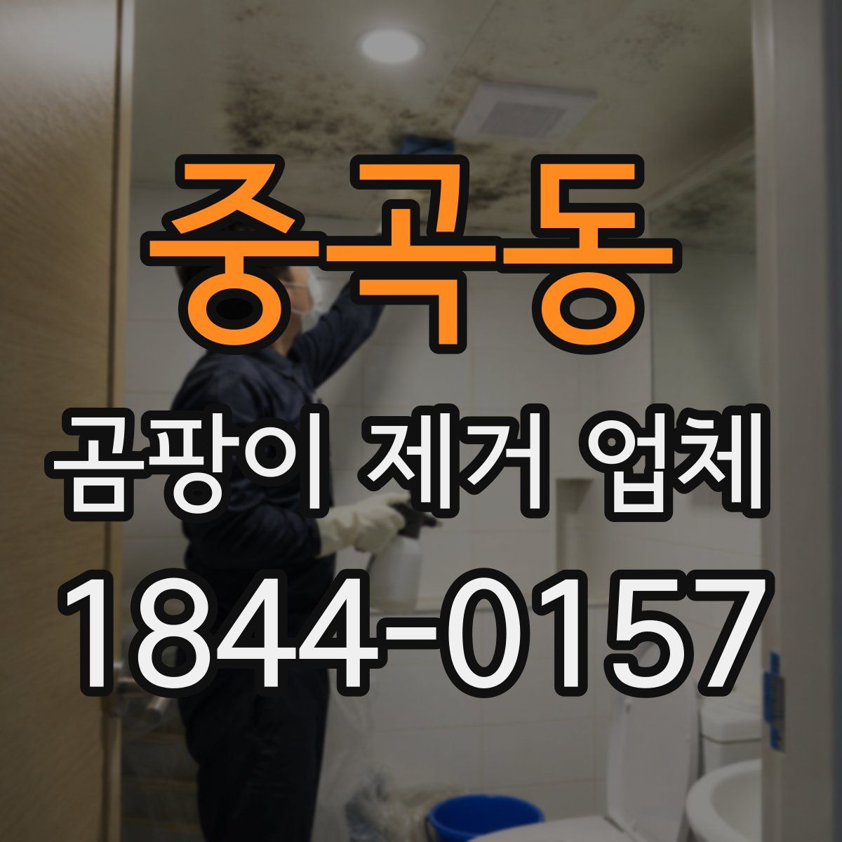 중곡동 곰팡이 제거 업체