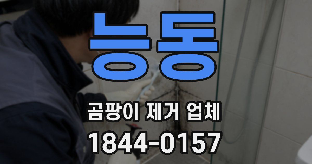 능동 곰팡이 제거 업체