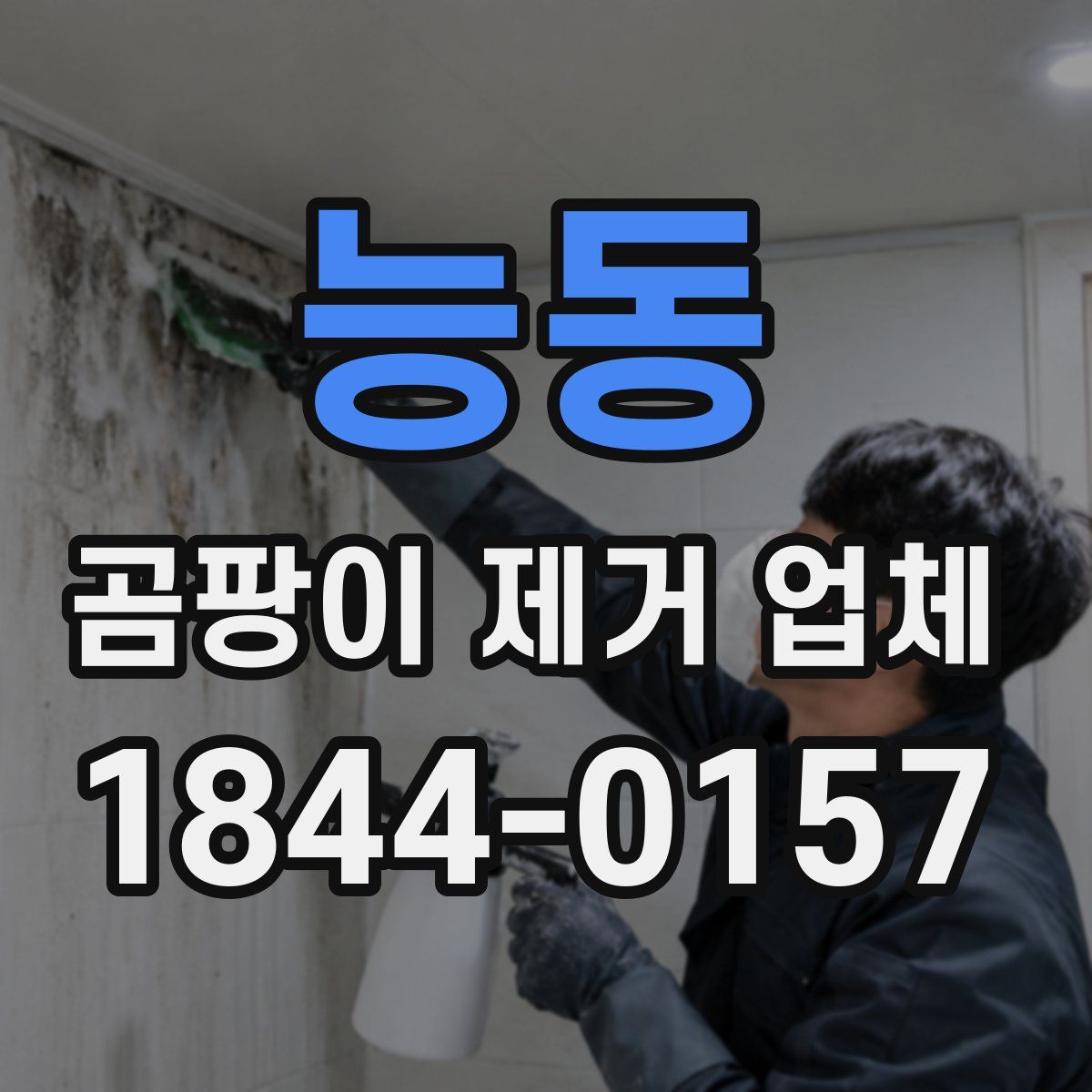 능동 곰팡이 제거 업체