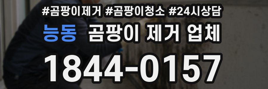 능동 곰팡이 제거 업체