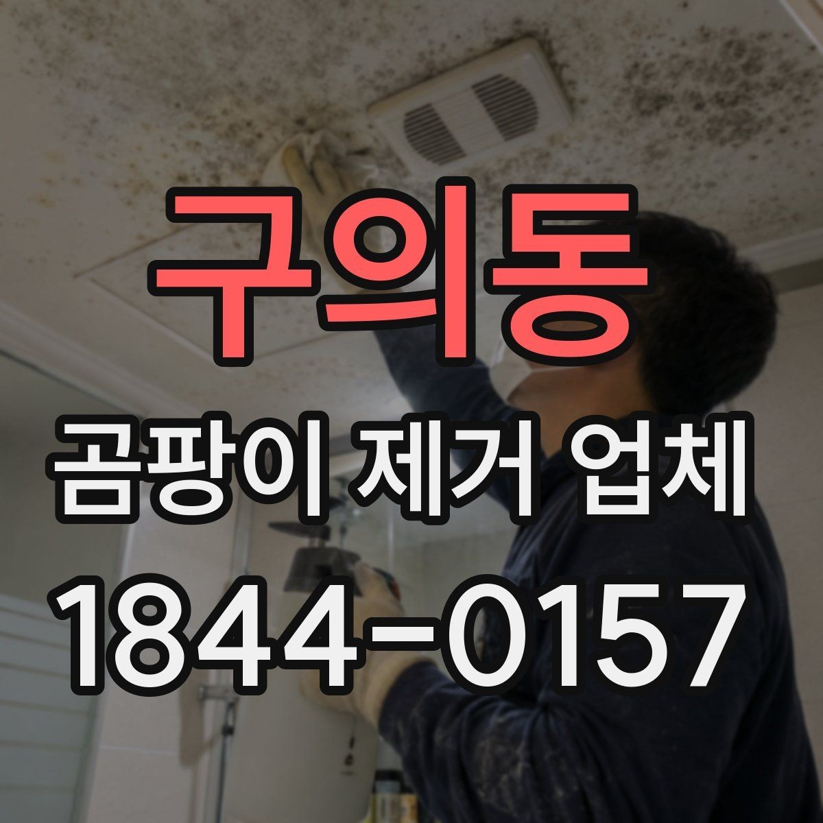 구의동 곰팡이 제거 업체 누수와 결로를 함께 확인하는 점검 순서