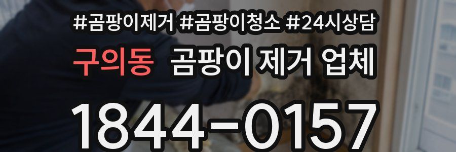 구의동 곰팡이 제거 업체