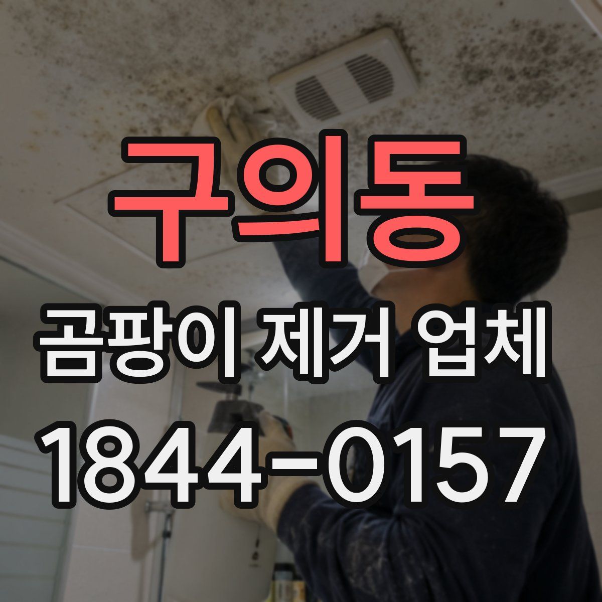 구의동 곰팡이 제거 업체