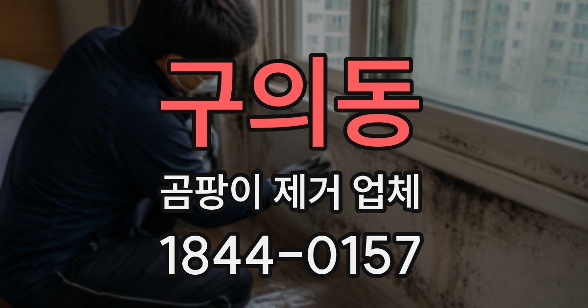 구의동 곰팡이 제거 업체