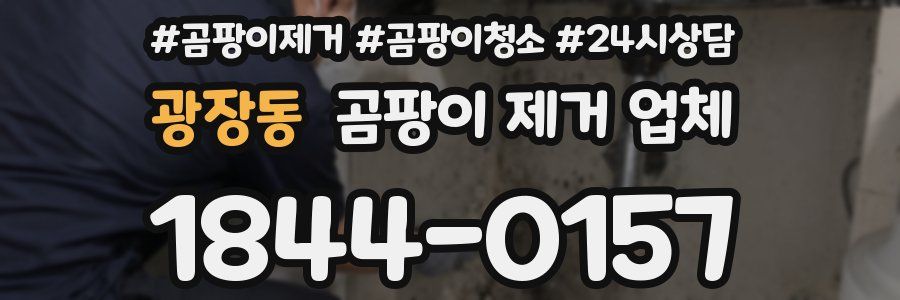 광장동 곰팡이 제거 업체
