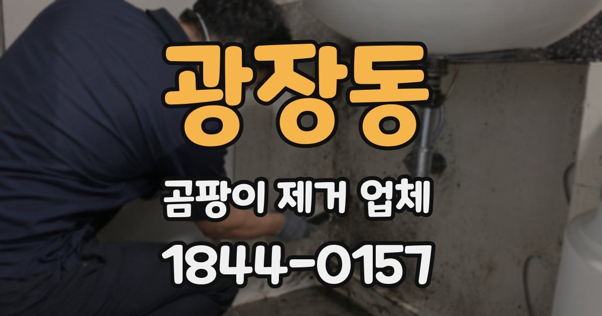 광장동 곰팡이 제거 업체
