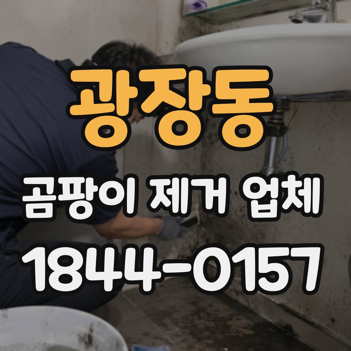 광장동 곰팡이 제거 업체