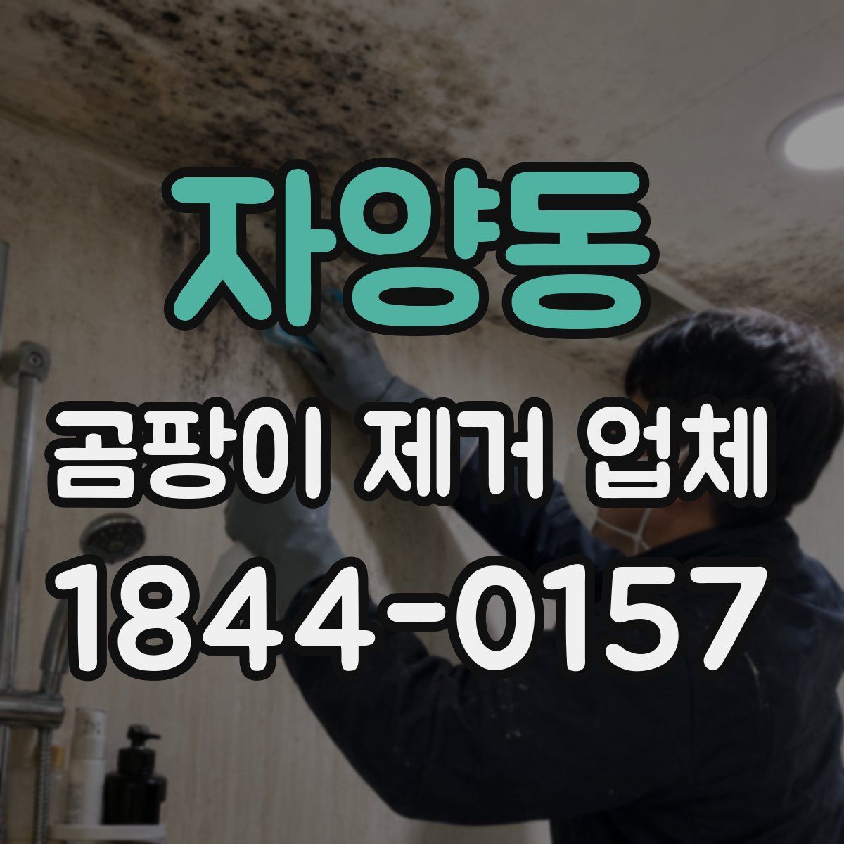 자양동 곰팡이 제거 업체