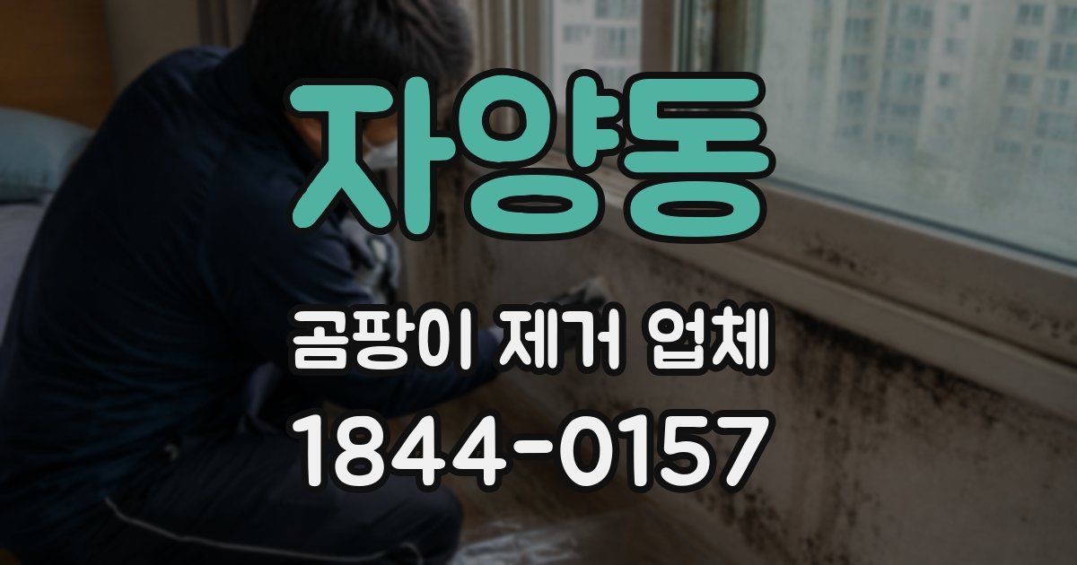 자양동 곰팡이 제거 업체