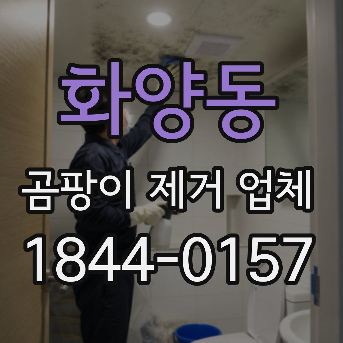 화양동 곰팡이 제거 업체