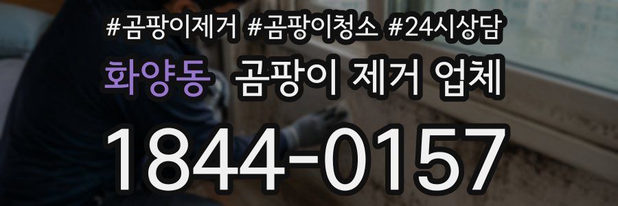 화양동 곰팡이 제거 업체