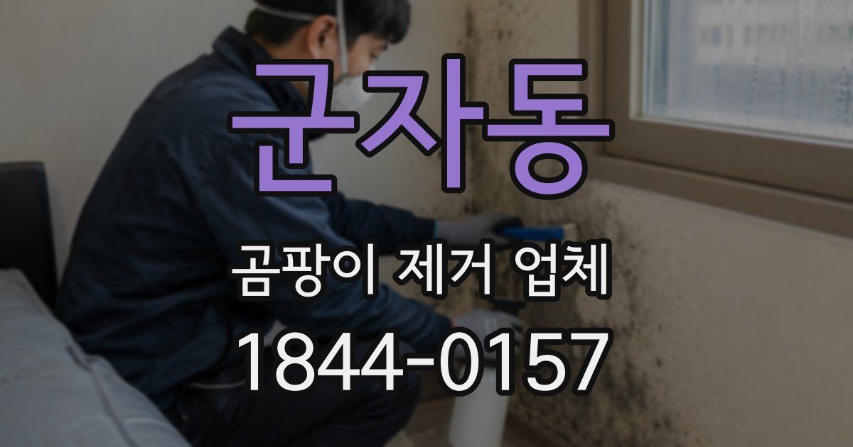 군자동 곰팡이 제거 업체