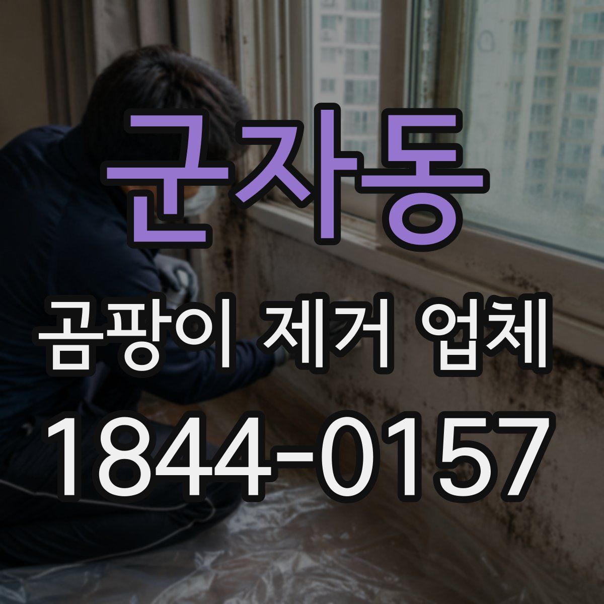 군자동 곰팡이 제거 업체