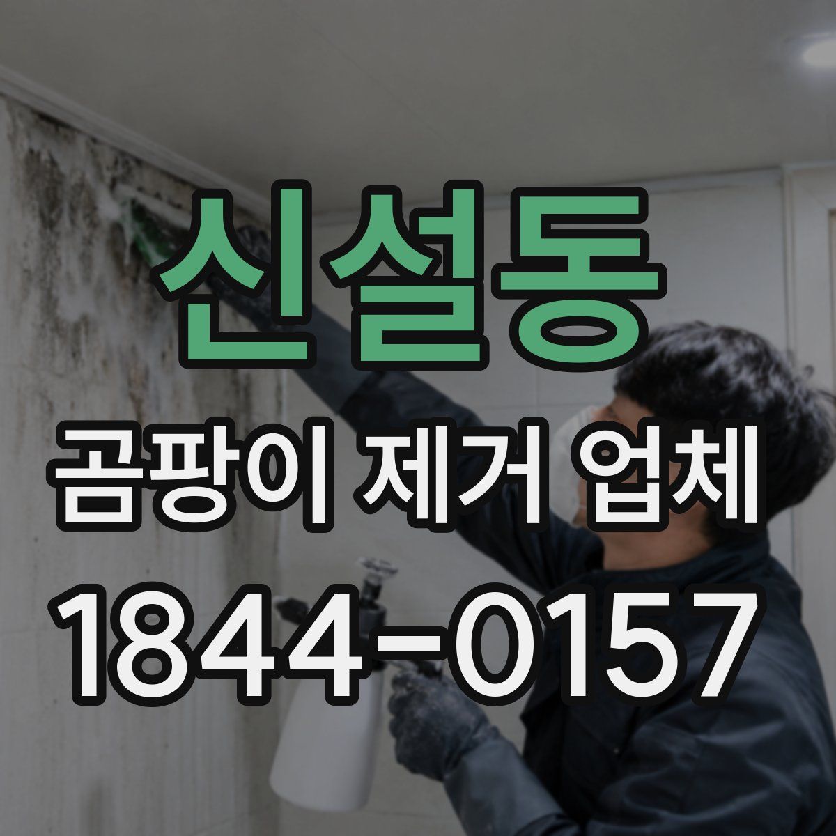 신설동 곰팡이 제거 업체